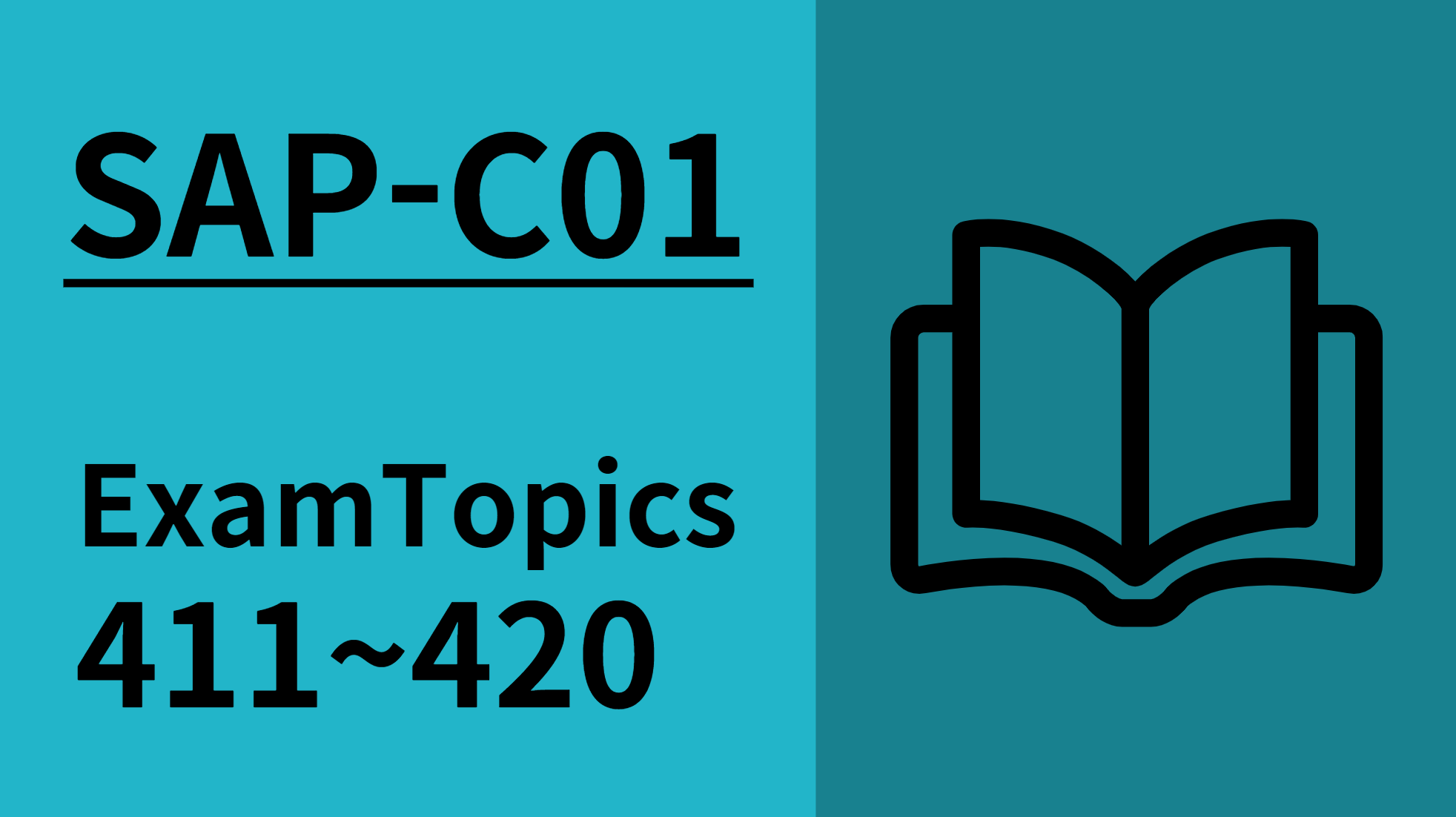 [AWS-SAP] ExamTopics 411~420 구버전