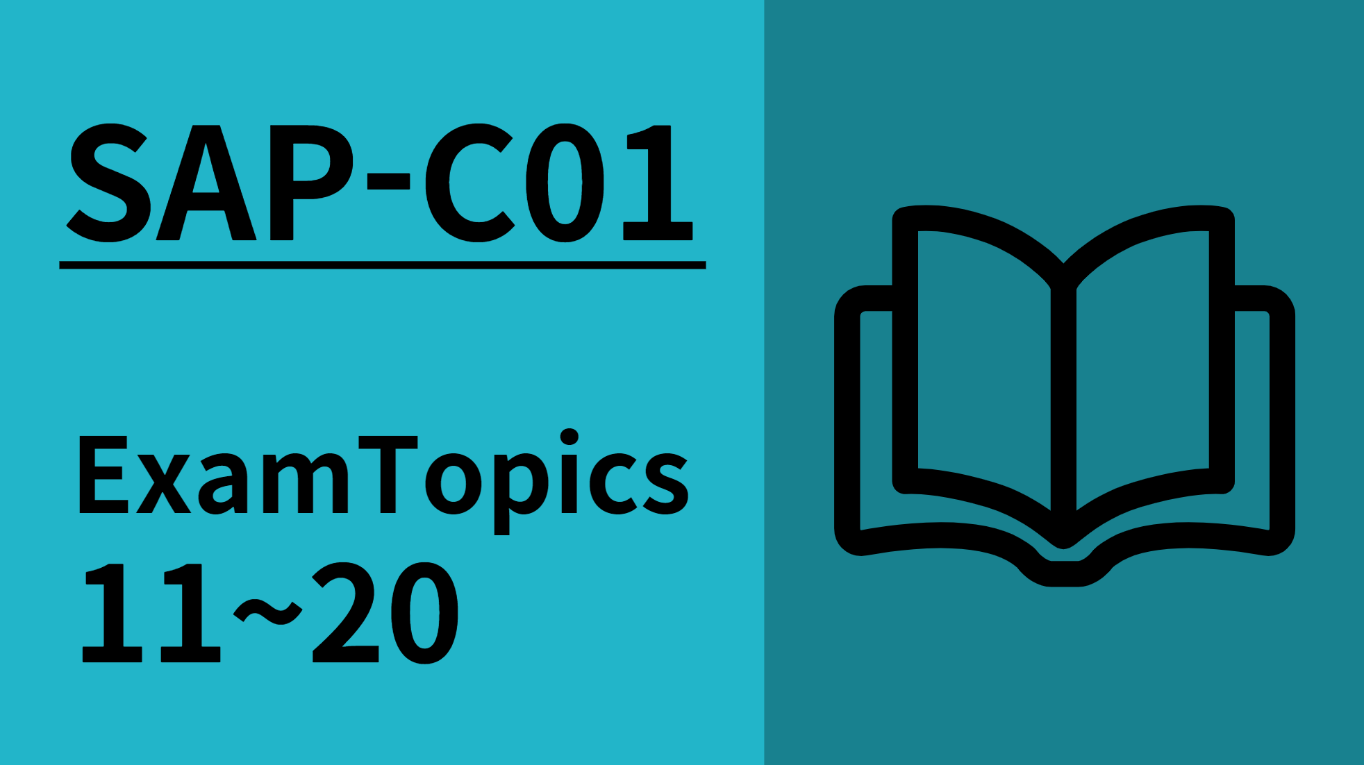 [AWS-SAP] ExamTopics 11~20