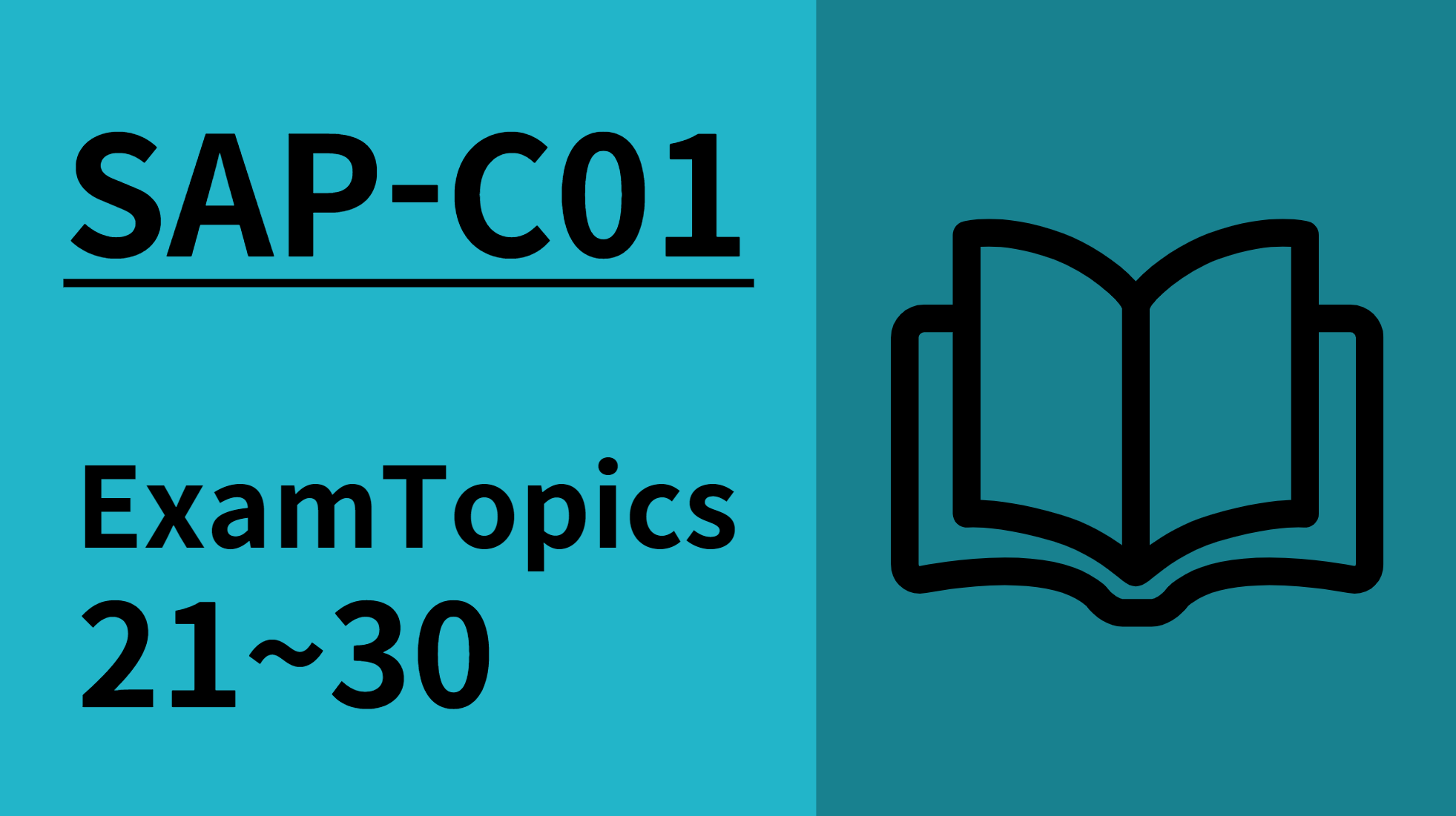 [AWS-SAP] ExamTopics 21~30
