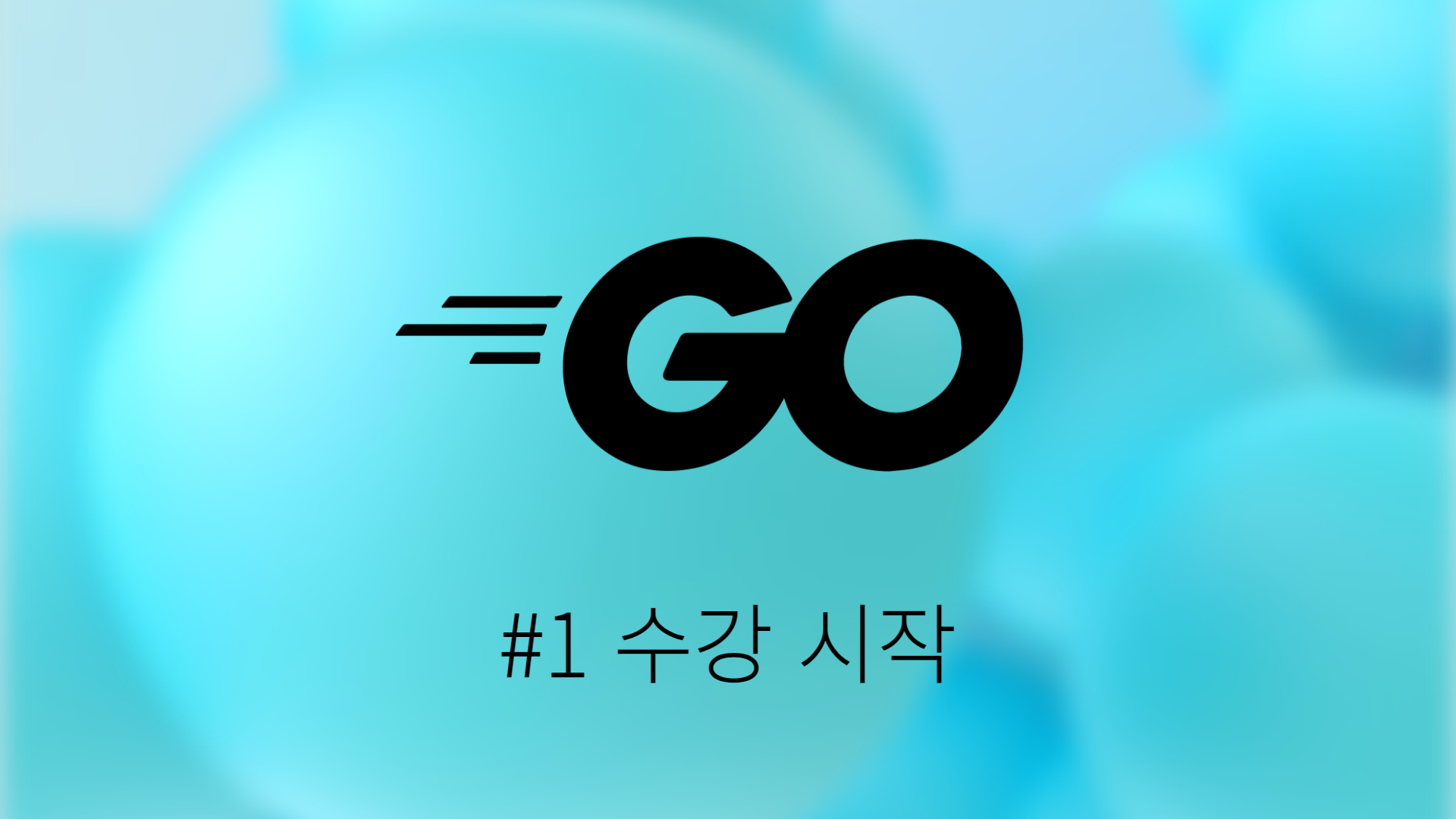 [Go] #1 한 눈에 끝내는 고랭 기초 강의 수강 시작