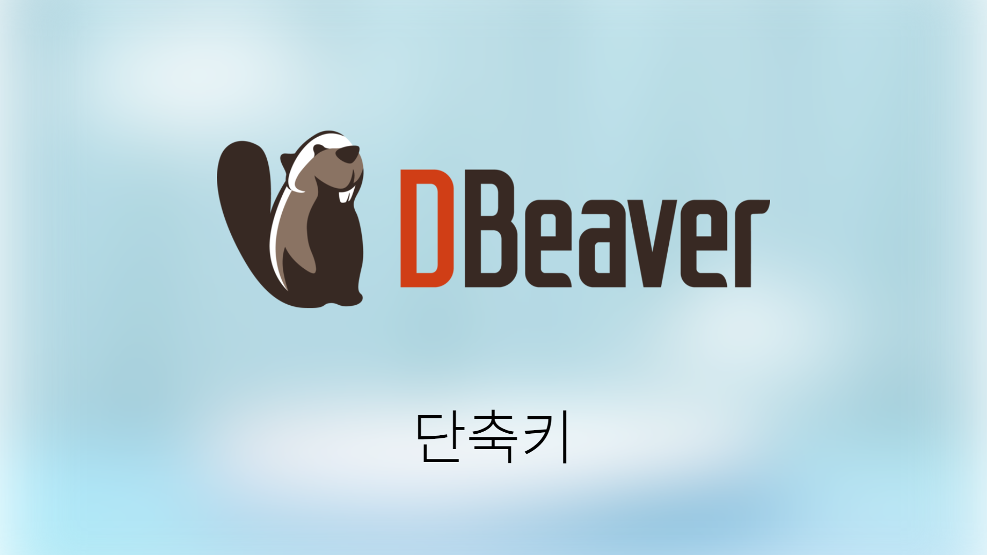 [DBeaver] 단축키