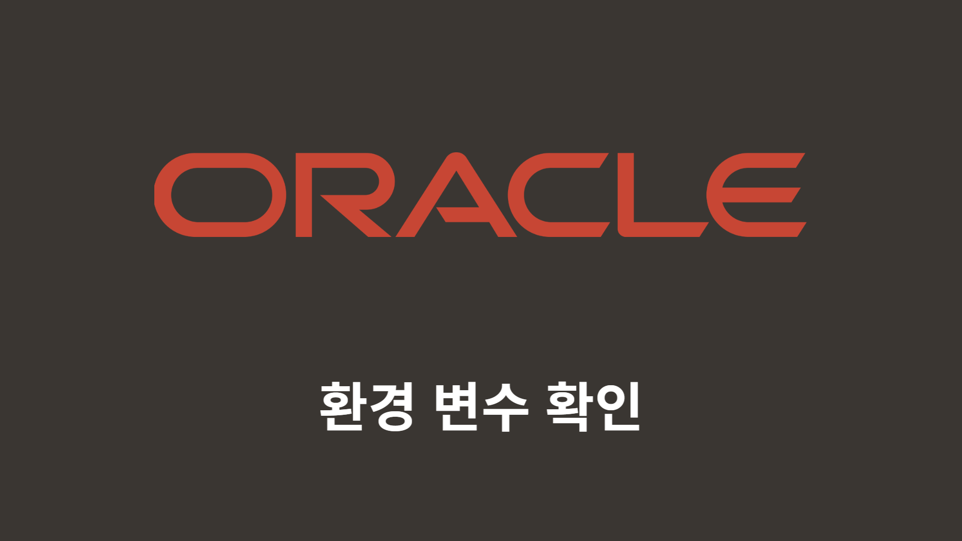 [ORACLE] 환경 변수 확인