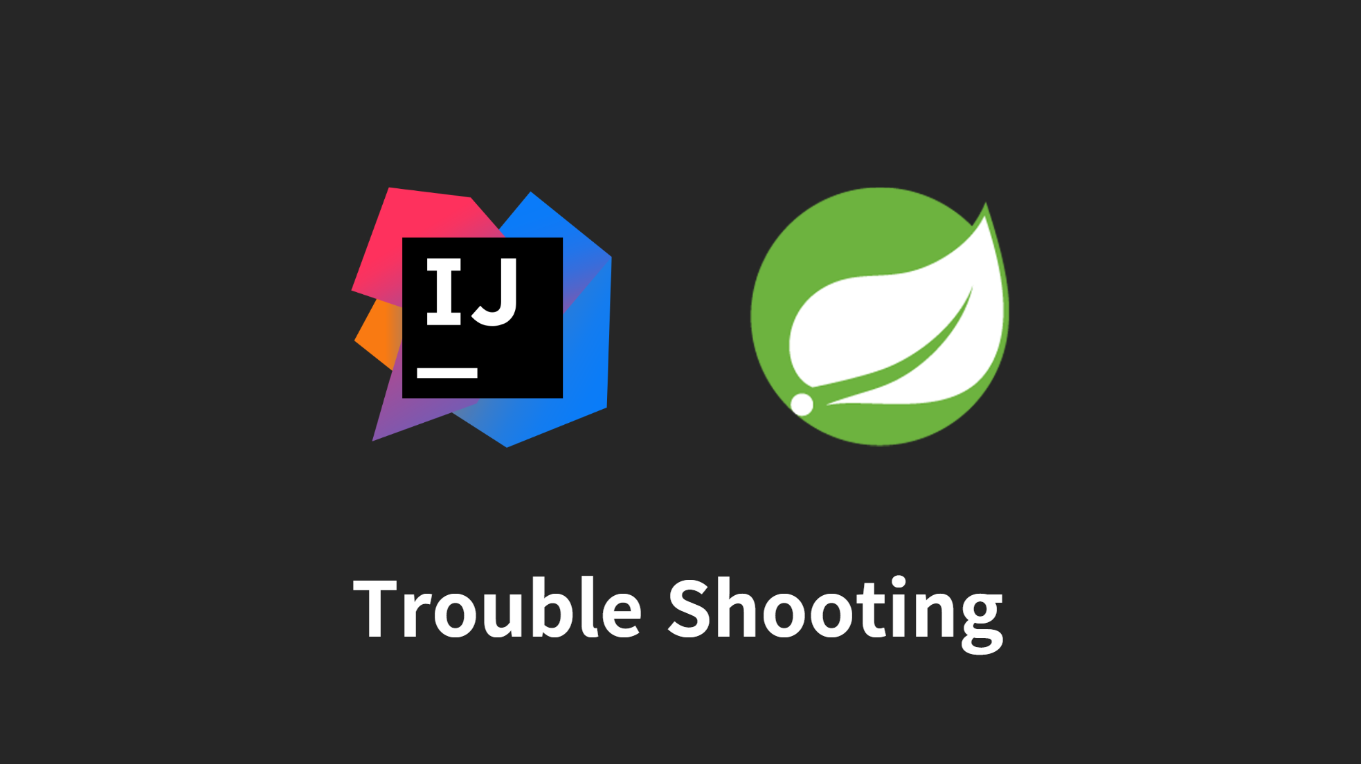[IntelliJ] Spring 오류 목록